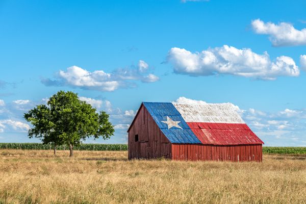 Texas Punches Back – Can Biden Take It?