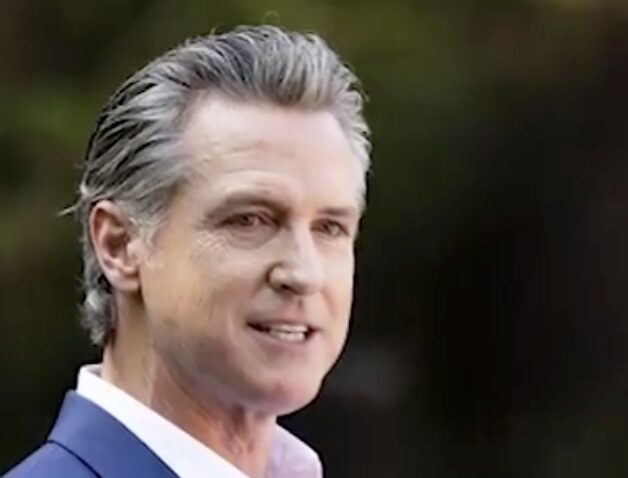 The Democrats’ 2028 Bench: A Woman Who Lost Her Home State and Nobody Who Excites Anyone